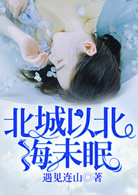 女主角苏眠男主角顾北城小说叫什么名字