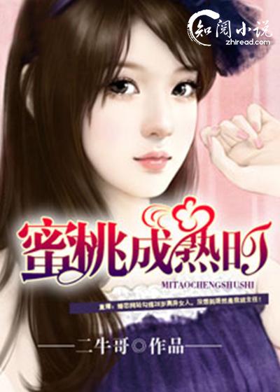 主角宋承业孟美琪小说叫什么名字