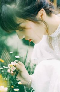 女主角向晚白男主角顾景莫的小说名字叫什么