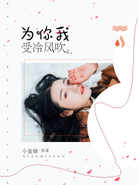 「为你我受冷风吹傅念琛」完本小说免费阅读链接