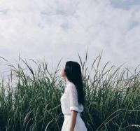 「大叔别跑小妻追夫忙陆沁安」小说全章节完整目录阅读资源
