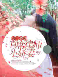 白二爷的首席律师小说VIP章节免费阅读